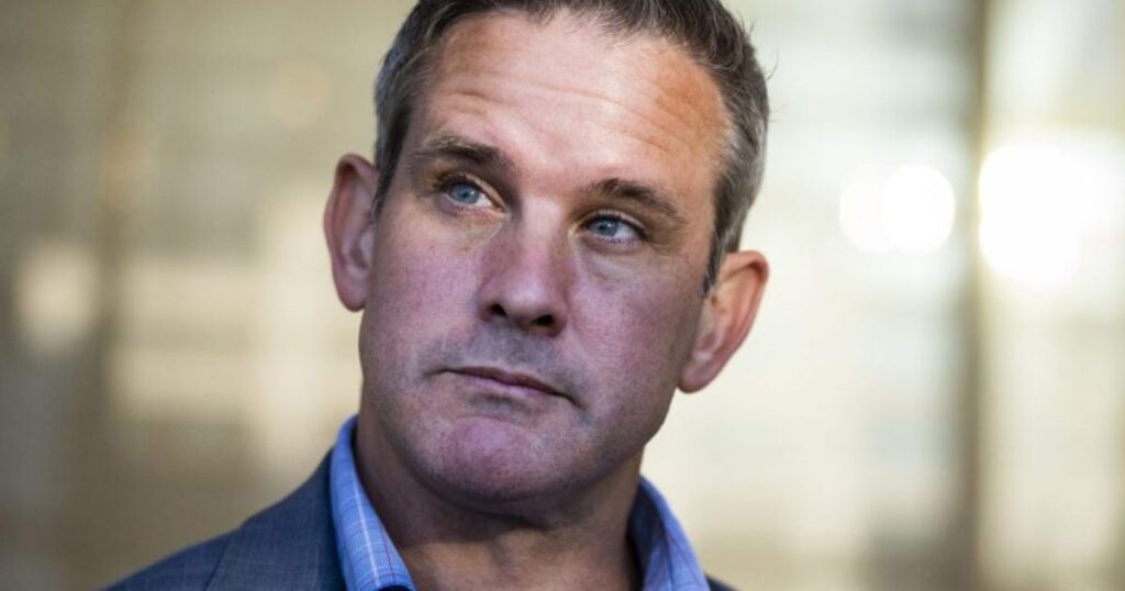 Adam Kinzinger Income Sources Breakdown