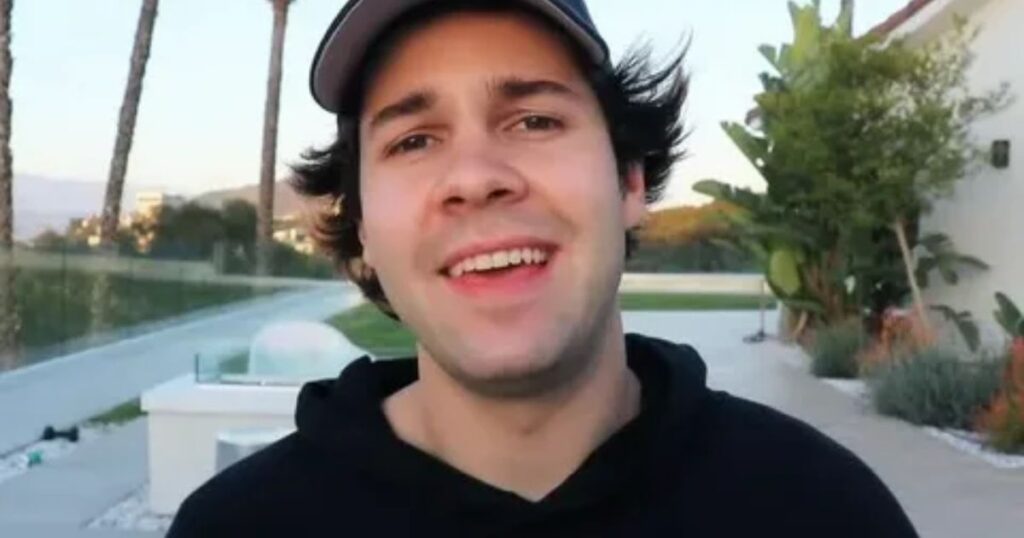 Business Ventures That Boost David Dobrik Net Worth