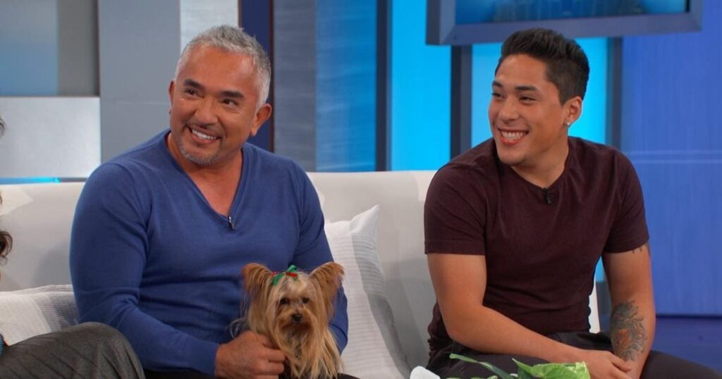  Real Estate, Assets & Lifestyle