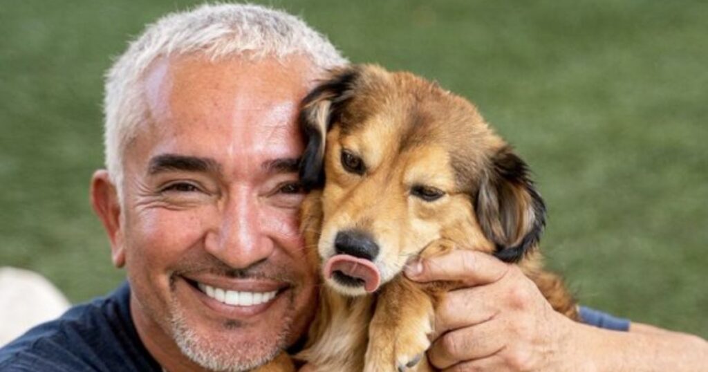 How Cesar Millan Built His Net Worth